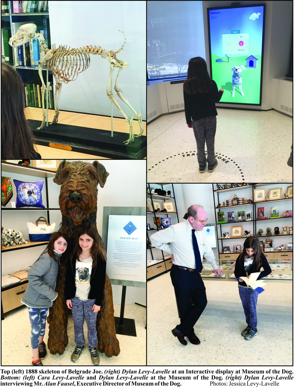 AKC-Museum-of-the-Dog-in-NYC