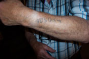 Fred's branded number from Nazi Germany - 105064;  Photo by: Steven Lieberman