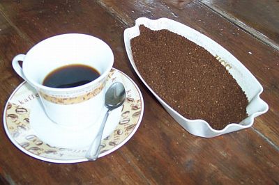 Blue Mountain Coffee at the Usheima Estate