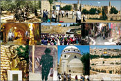 (From left) Top: An ancient seven foot thick olive tree at The Garden of Gethsemane; Celebrating the 44th Anniversary of The Liberation of Jerusalem in the Six Day War in 1967; The Citadel; 2nd row: The Cardo, a typical Roman street from the 6th century, now a Jewish mall in the Old City of Jerusalem; Thousands of youths gather at The Wailing Wall to celebrate The 44th Anniversary of its Liberation;A typical commercial street in the Arab Quarter of the Old City. Bottom: Statue of King David Playing the Harp in the old city; Jews pray routinely at The Tomb of King David while it�s being restored; The restored synagogue, The Ruin of Rabbi Yehuda the Hassidic, which has been destroyed by the Jordanians between 1948-1967; A view west from Mt. Olives: In center of photo is The Old City, above is The New City of Jerusalem, and below is Mt. Olives� Jewish Cemetery, which has been destroyed by the Jordanians between 1948-1967. Photos: Kanan Abramson