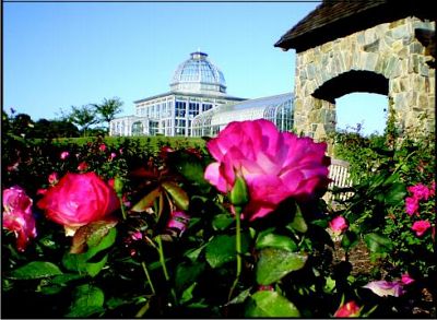 The Rose Garden with Conservatory in background at Lewis Ginter Botanical Gardens.