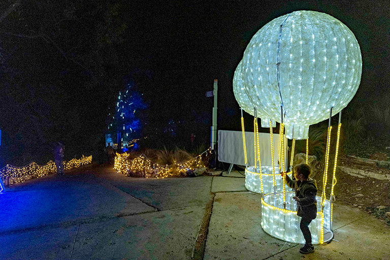 Jerusalem's Botanical Gardens lit up for winter festival