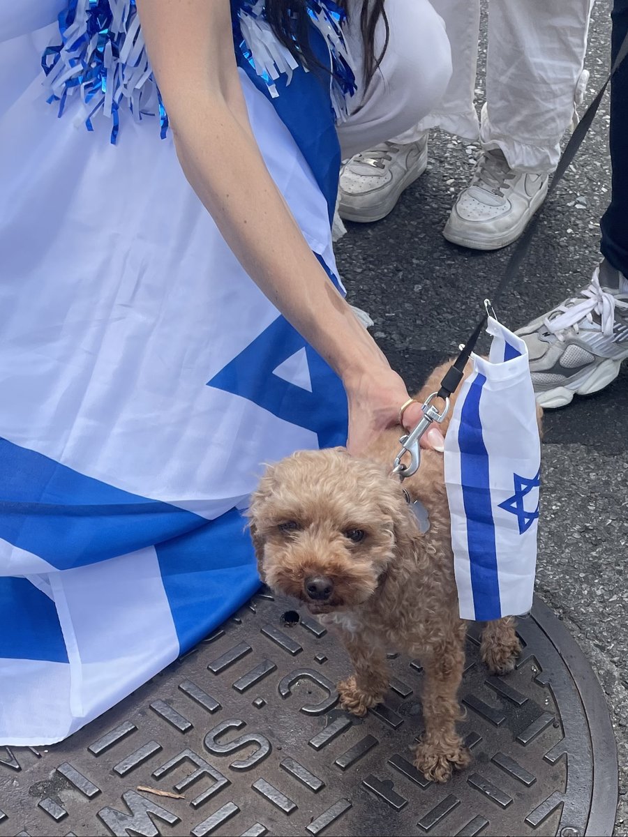 Israel Day Parade 2026 on Fifth Avenue, New York