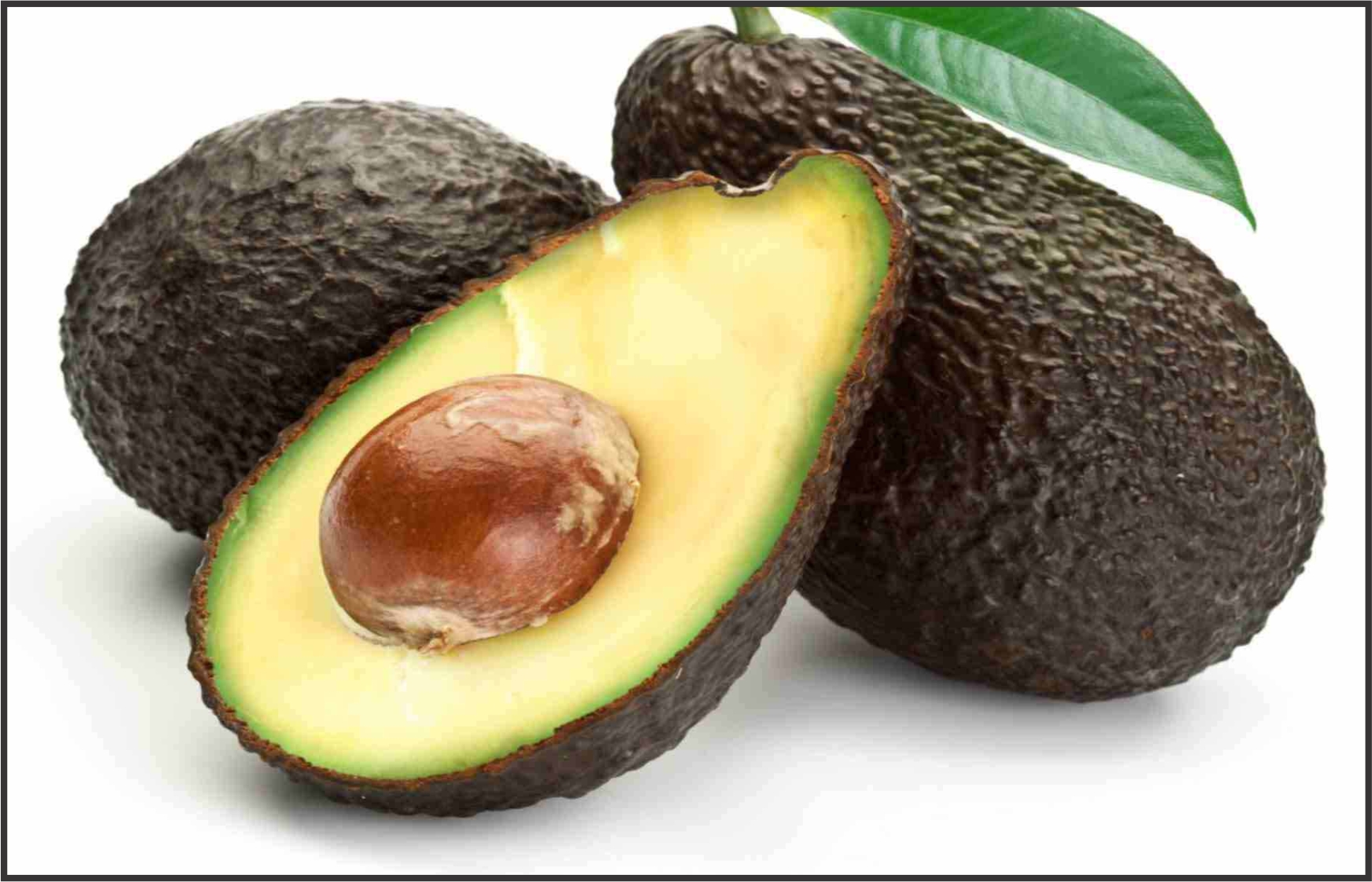 Israelis Train Palestinian Farmers to Grow Avocados