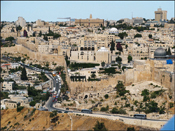 Jerusalem, as seen from Mt. Scopus. Photo: Kanan Abramson
