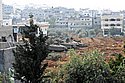 IDF paratroopers & armour  in Gaza city. Photo: Matan Hakimi/IDF Spokesman/Israel Sun