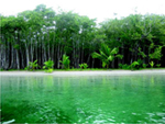 White beaches and turquoise waters of Bocas del Toro.