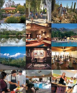 From left:(top row) Canyon Ranch Clubhouse; Cycling at the main entrance; Desert hiking; (2nd row) Daytime yoga; Spa Suite; The T-Pool; (3rd row) View of Santa Catalina Mountains from Canyon Ranch; Clubhouse; Yoga Dome;(bottom) Demo Kitchen; Aquatic Center; Drumming Class;